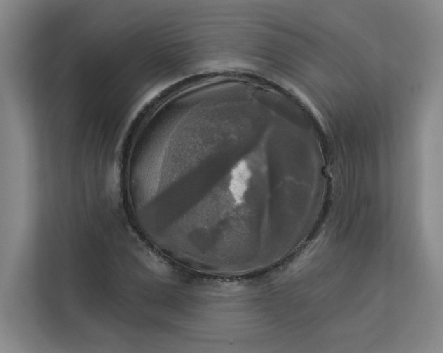 X0000113300975200909281101