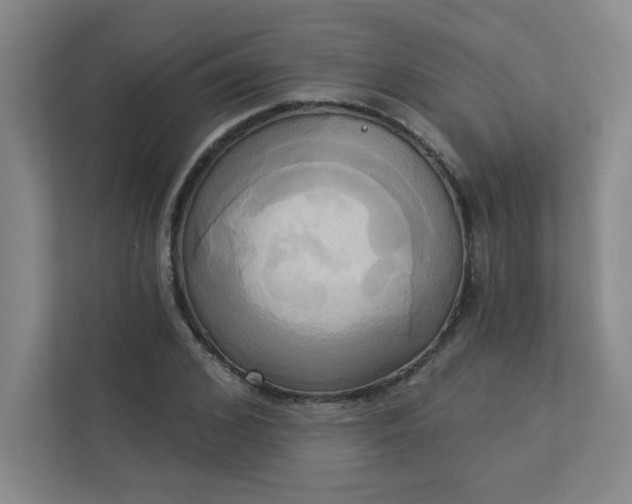 X0000113300976200909281101