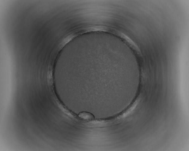 X0000113300977200909281101