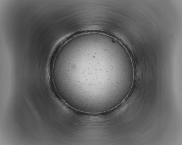 X0000113300979200909281101