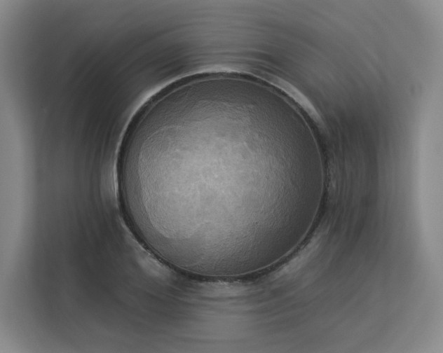 X0000113300980200909281101