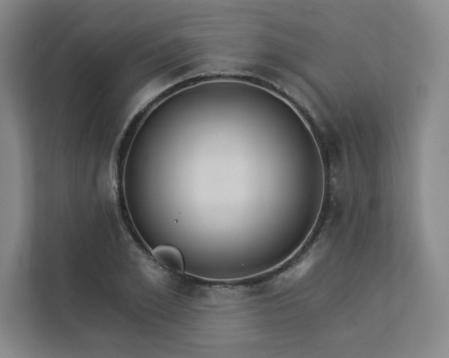 X0000113300981200909281101