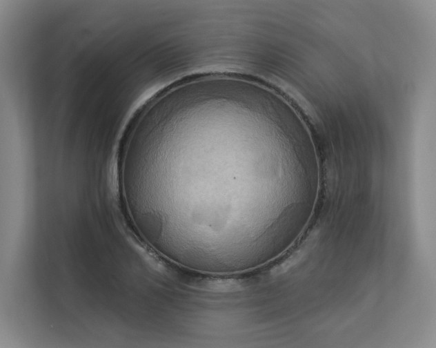 X0000113300982200909281101