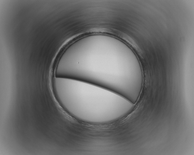 X0000113300984200909281101