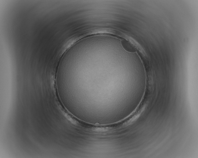 X0000113300985200909281101