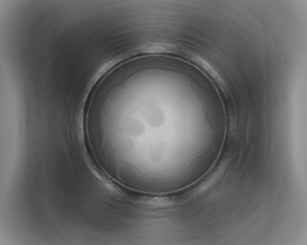 X0000113300986200909281101