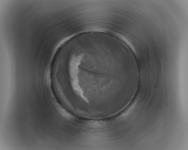 X0000113300987200909281101