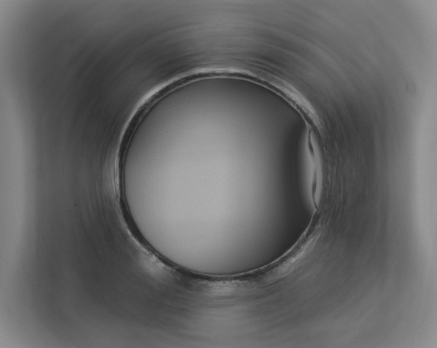 X0000113300988200909281101