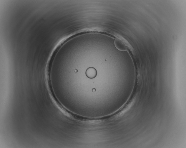 X0000113300989200909281101