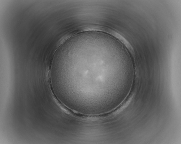 X0000113300993200909281101