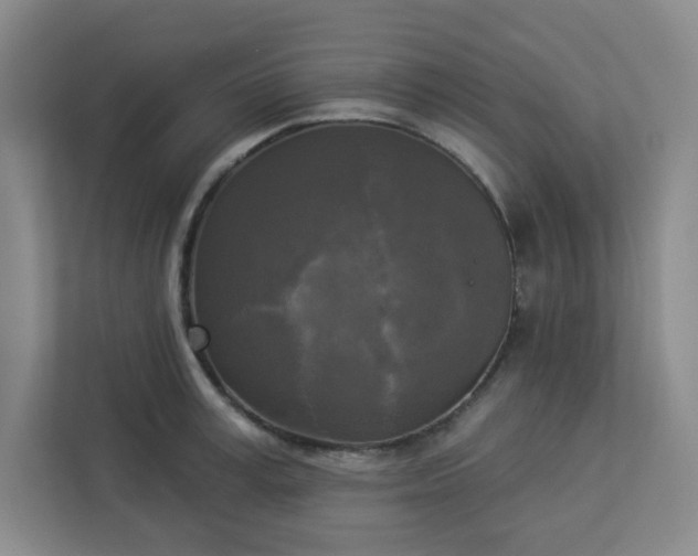 X0000113300995200909281101