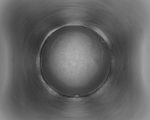 X0000113300996200909281100