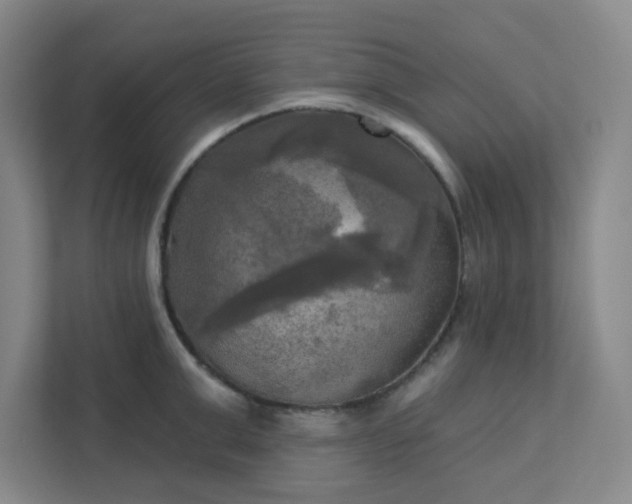 X0000113300999200909281100