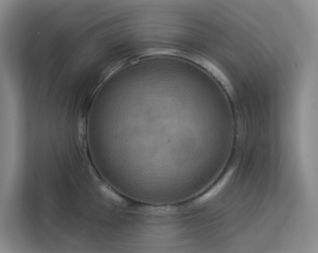 X0000113301001200909281100