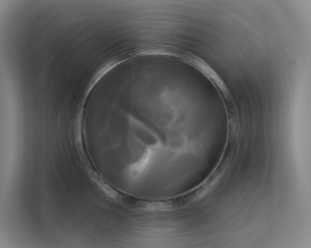 X0000113301002200909281100