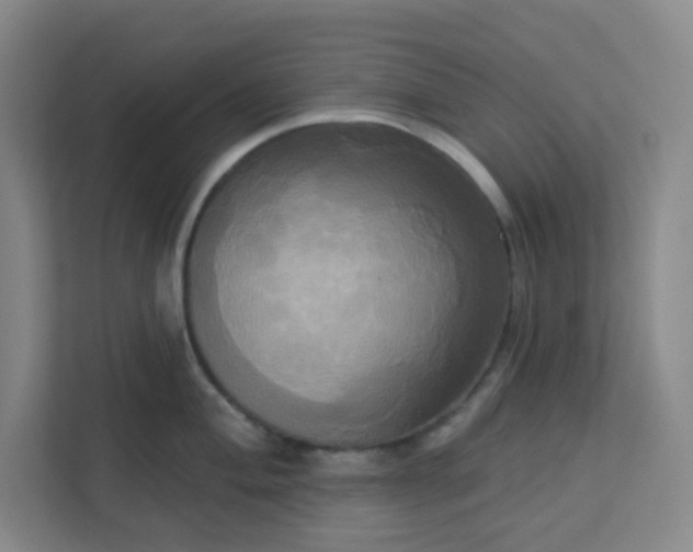 X0000113301004200909281100