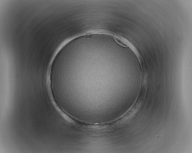 X0000113301005200909281100