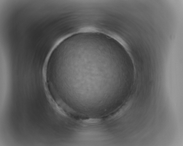 X0000113301008200909281100