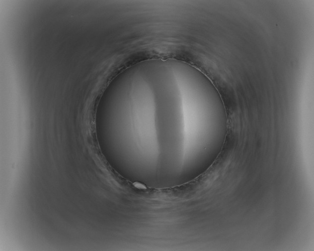 X0000113301009200909281100