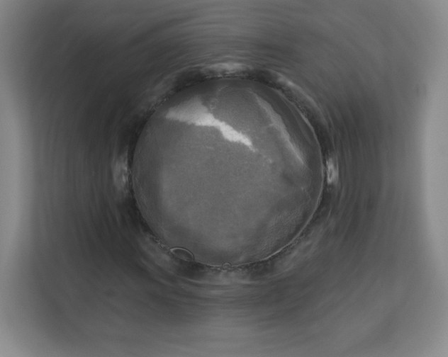 X0000113301011200909281100