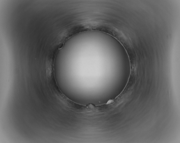 X0000113301012200909281100