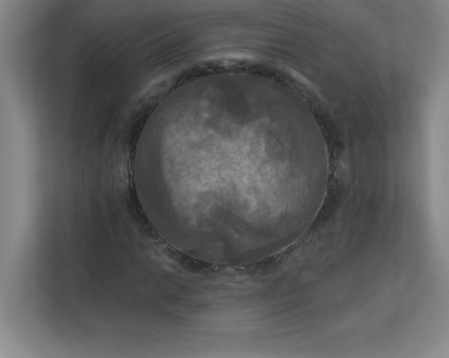 X0000113301014200909281100