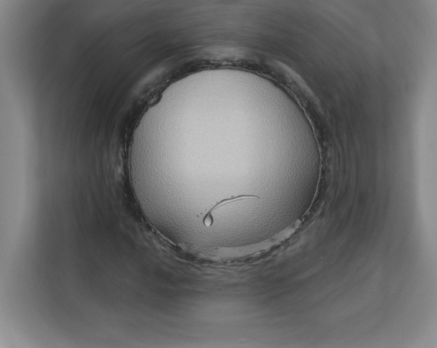 X0000113301016200909281100