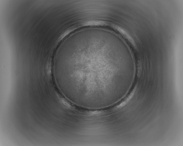 X0000113301017200909281100