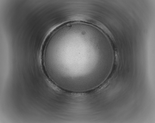 X0000113301020200909281100