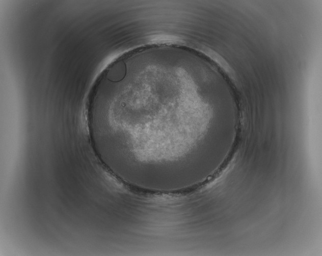 X0000113301022200909281100