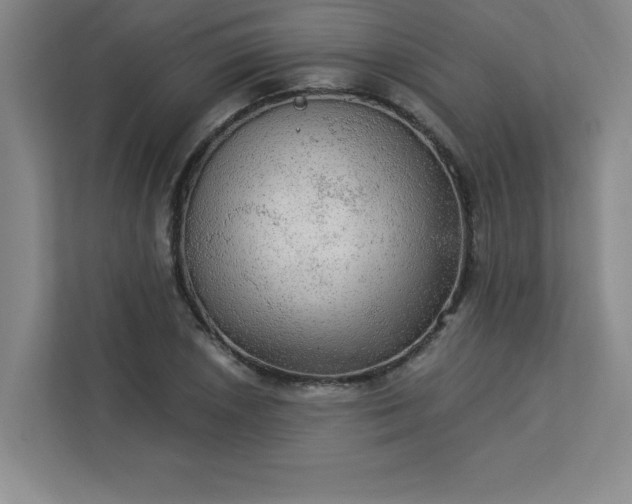 X0000113301026200909281100