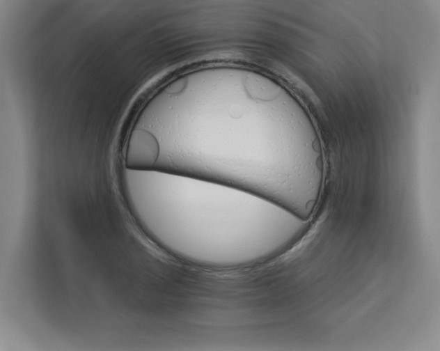 X0000113301029200909281100