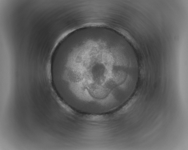 X0000113301030200909281100