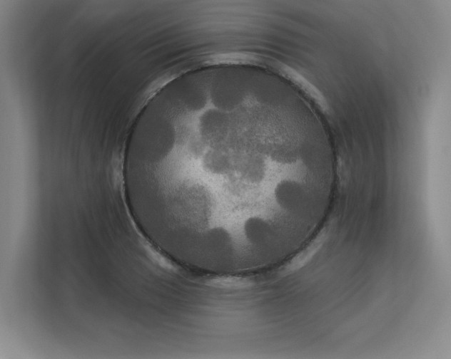 X0000113301033200909281100