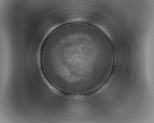 X0000113301038200909281100