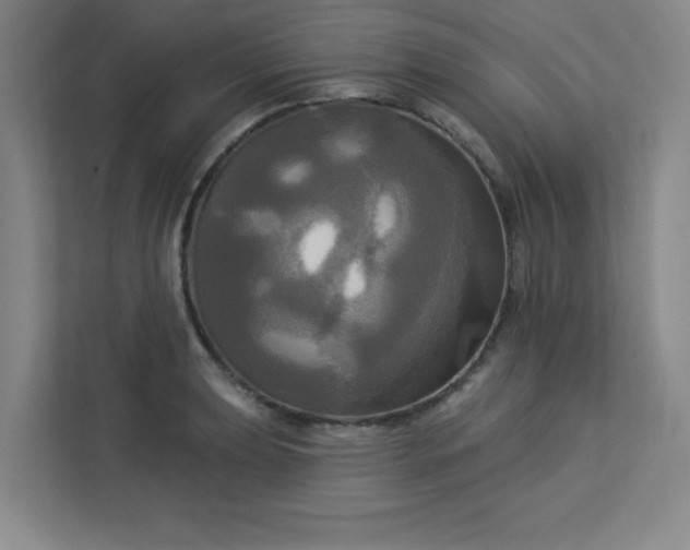 X0000113301039200909281100