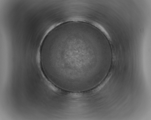 X0000113301040200909281100