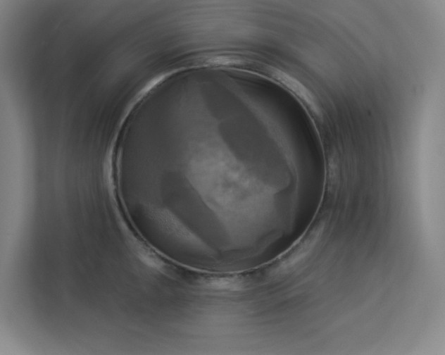 X0000113301047200909281100