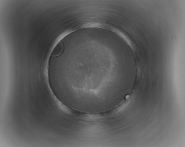 X0000113301050200909281100