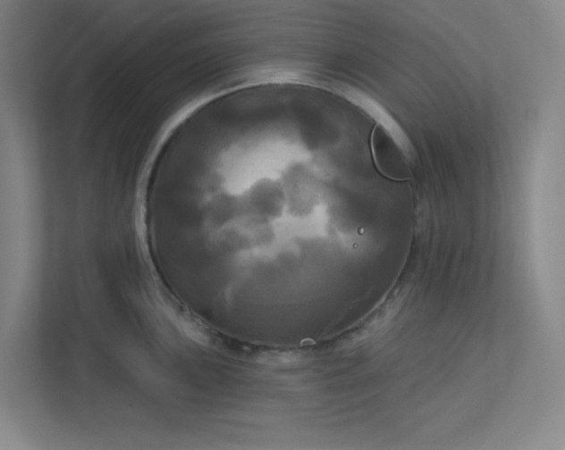 X0000113301051200909281100