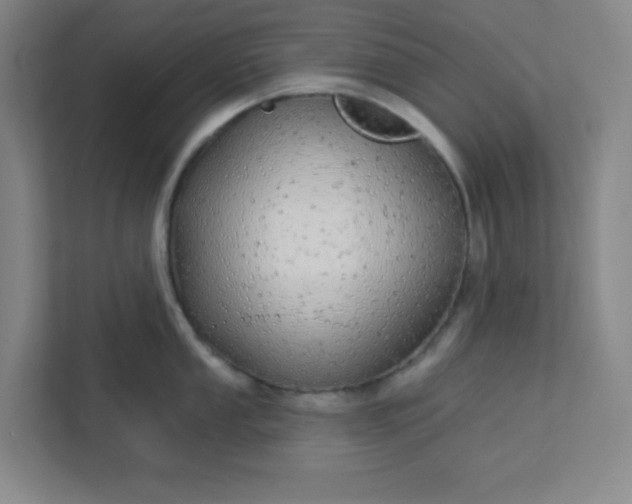 X0000113301053200909281100