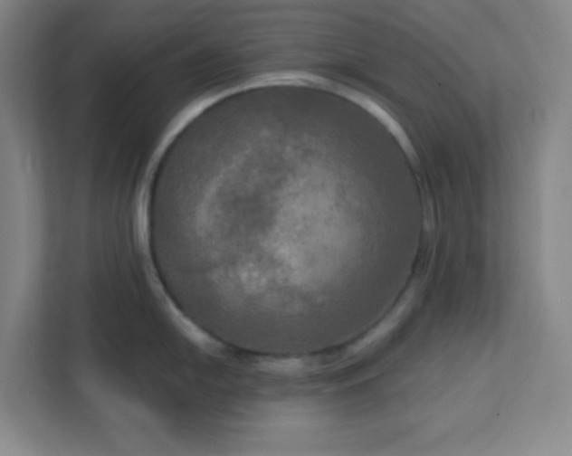 X0000113301054200909281100