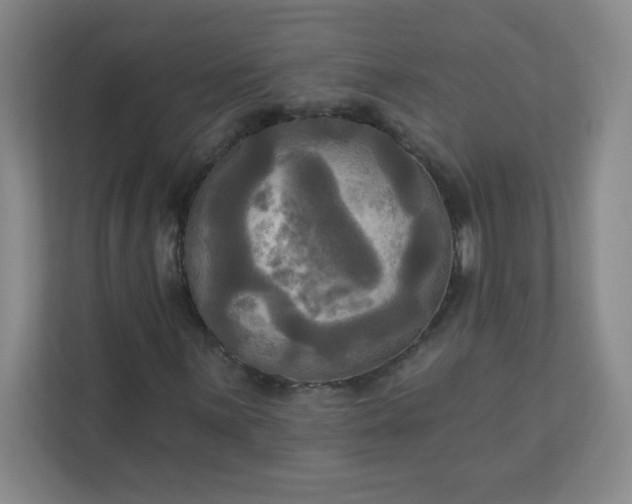 X0000113301059200909281100