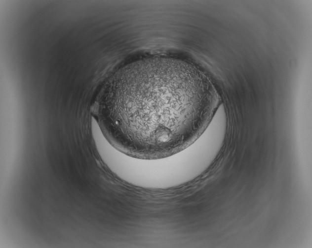 X0000113301060200909281100