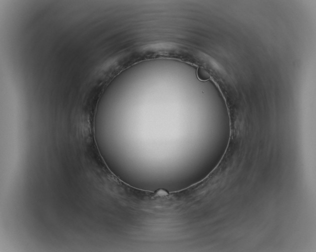 X0000113301062200909281100