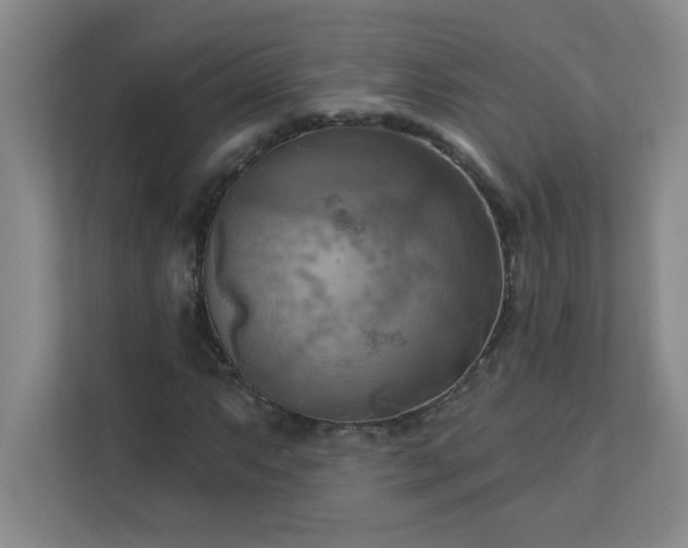 X0000113301063200909281100