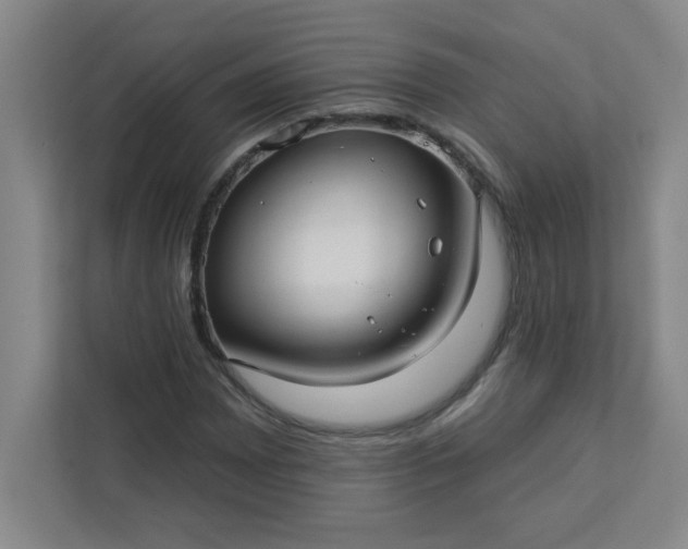 X0000113301065200909281100