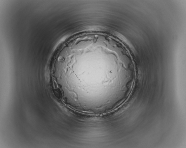 X0000113301067200909281100