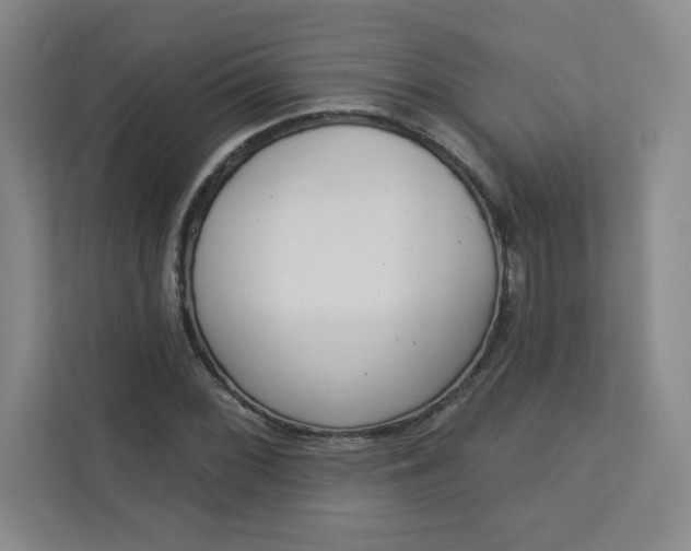 X0000113301068200909281100