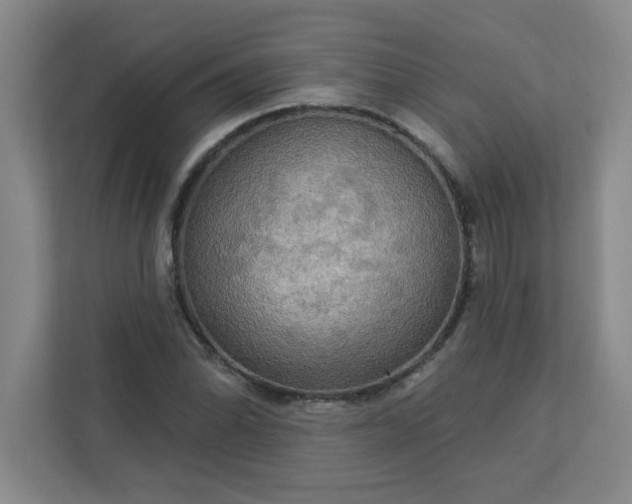 X0000113301070200909281100